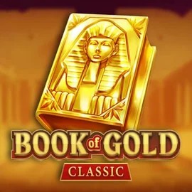 Slots logo of Book of Gold Classic from Playson at Vincispin Casino